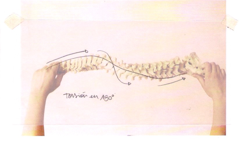 Exploración_columna_02